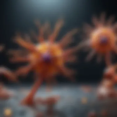 Magnificent CIP2A Antibody: Insights into Function and Applications Magnificent CIP2A Antibody: Insights into Function and Applications