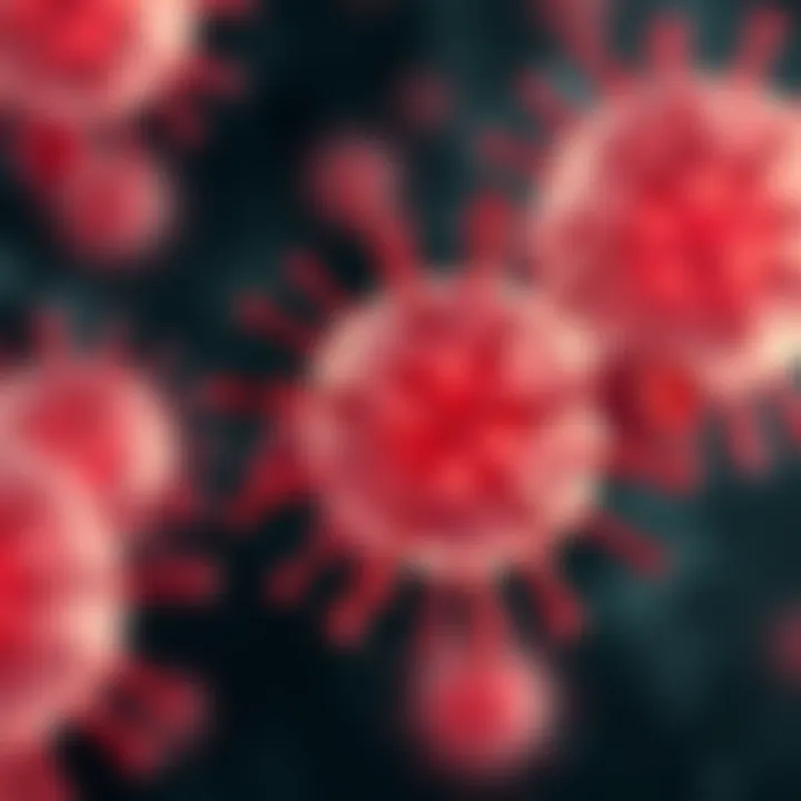 Magnificent Comprehensive Insights Into Cancer Cells