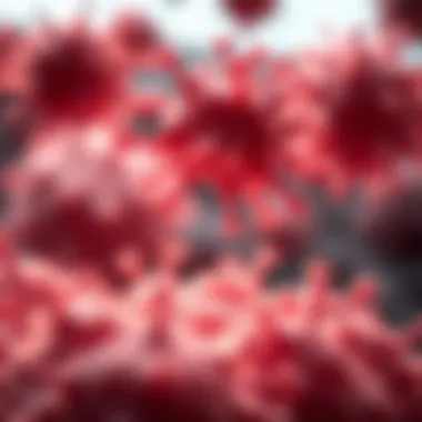 Magnificent Exploring the CD4/CD8 Ratio in Cancer: Implications and Consequences Magnificent Exploring the CD4/CD8 Ratio in Cancer: Implications and Consequences