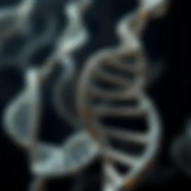 Magnificent Exploring the Human DNA Sequence: Structure, Function, and Implications Magnificent Exploring the Human DNA Sequence: Structure, Function, and Implications
