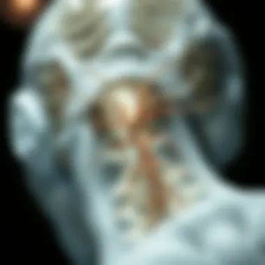 Magnificent The Mechanisms and Implications of Dorsal Root Rhizotomy Magnificent The Mechanisms and Implications of Dorsal Root Rhizotomy