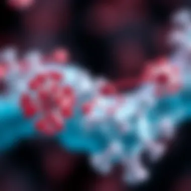 Magnificent Understanding Anti Neurofascin Antibody: Implications and Mechanisms Magnificent Understanding Anti Neurofascin Antibody: Implications and Mechanisms