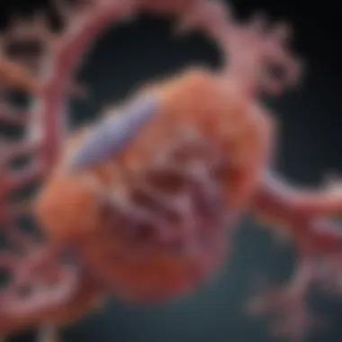 Magnificent Understanding LKB1 Protein: Structure, Function, and Implications in Disease Magnificent Understanding LKB1 Protein: Structure, Function, and Implications in Disease