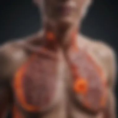 Magnificent Understanding Stage 3 Lung Cancer: Survival Rates and Implications Magnificent Understanding Stage 3 Lung Cancer: Survival Rates and Implications