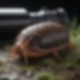 A Comprehensive Analysis of Nemaslug: An Effective Solution for Slug Control Introduction