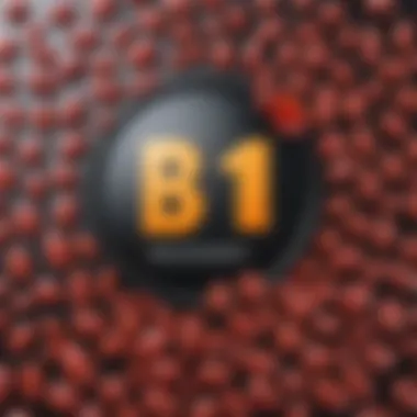 Notable A Comprehensive Overview of Vitamin B12: Importance, Functions, and Sources Notable A Comprehensive Overview of Vitamin B12: Importance, Functions, and Sources