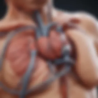 Illustration of adrenergic mechanisms in atrial fibrillation