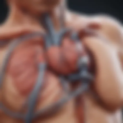 Illustration of adrenergic mechanisms in atrial fibrillation