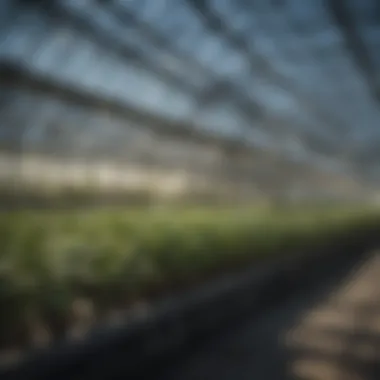 Automation in Greenhouse Management Automated systems optimizing greenhouse efficiency