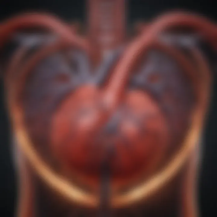 Diagram showing the impact of alcohol on the cardiovascular system