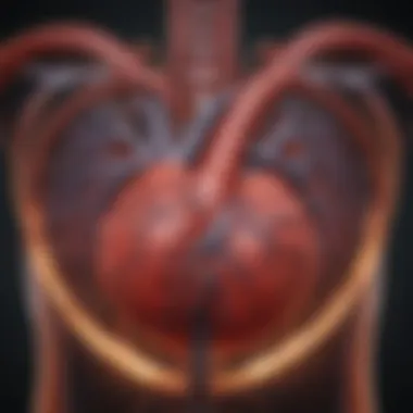 Cardiovascular Effects of Alcohol Diagram showing the impact of alcohol on the cardiovascular system