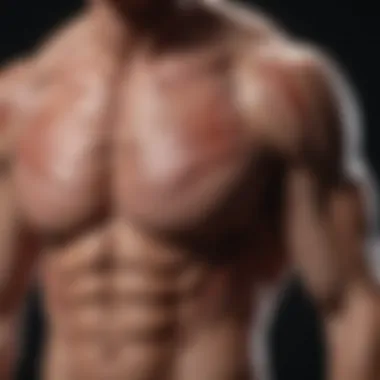 Evolutionary Aspects of Musculature Graphical representation of muscle evolution