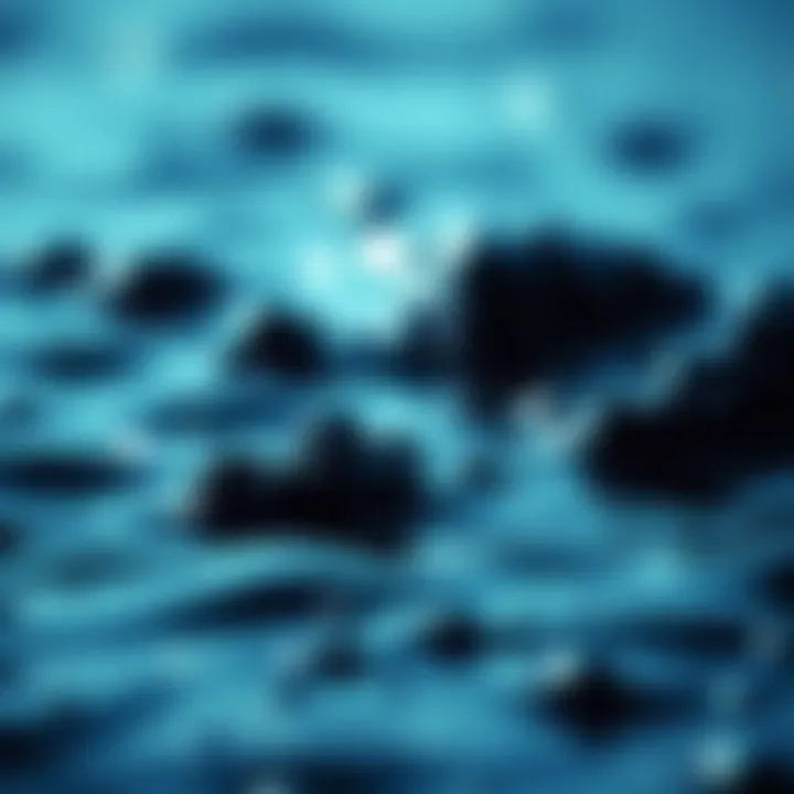 Factors Impacting Marine Levels Factors impacting marine levels