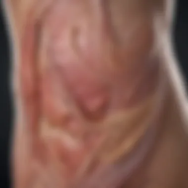 Chart depicting clinical features of LGMD