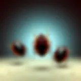 Are Bed Bugs Poisonous? An In-Depth Exploration Introduction Are Bed Bugs Poisonous? An In-Depth Exploration Introduction