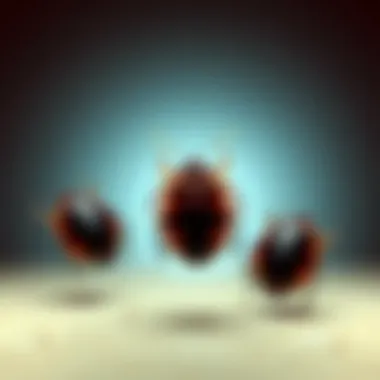 Are Bed Bugs Poisonous? An In-Depth Exploration Introduction Are Bed Bugs Poisonous? An In-Depth Exploration Introduction