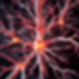 Illustration of nerve regeneration pathways