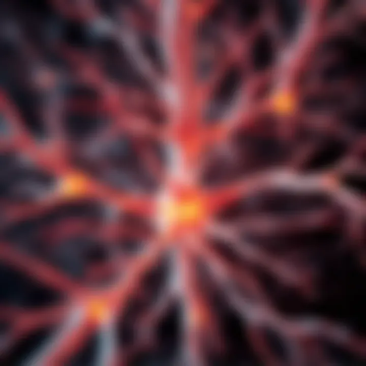 Nerve Regeneration Pathways Illustration of nerve regeneration pathways