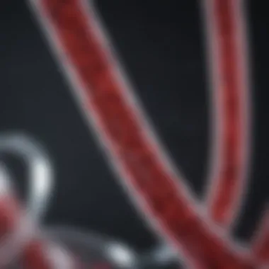 Innovations in Blood Work and Personalized Medicine A futuristic concept image depicting personalized medicine through innovative blood work technologies.