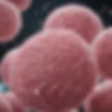 Overview of chemotherapy regimens for breast cancer treatment