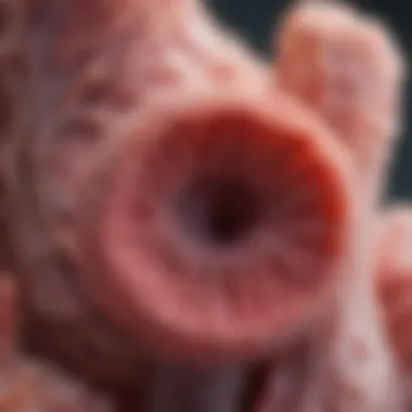 Microscopic View of Uterine Polyp Close-up of uterine polyp structure under a microscope