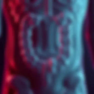 Diagram illustrating the anatomy of the sigmoid colon
