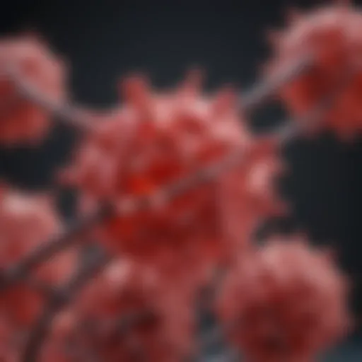 Molecular structure of carbolic acidum