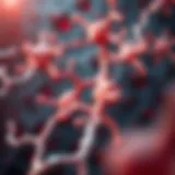 Illustration of CGRP receptor activation pathways