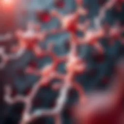 Illustration of CGRP receptor activation pathways