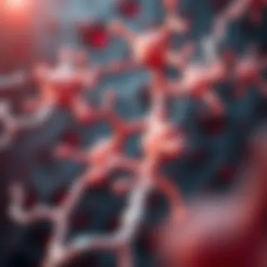 CGRP Receptor Activation Pathways in Migraine Illustration of CGRP receptor activation pathways