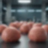 Chemotherapy agents targeting squamous cell carcinoma cells