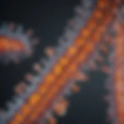Visualization of chromatin structure