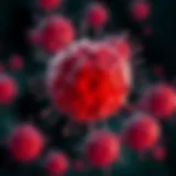 Visual representation of B-lymphocytes proliferation in CLL