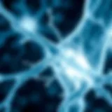 Illustration showing collagen fibers in joint tissue