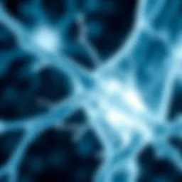 Illustration showing collagen fibers in joint tissue