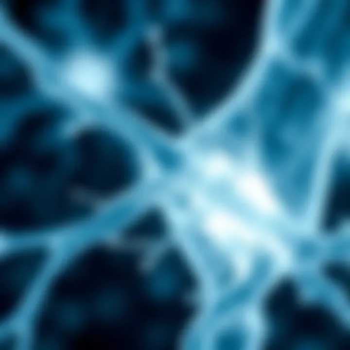 Collagen Fibers in Joint Tissue Illustration showing collagen fibers in joint tissue