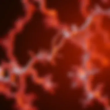 Collagen Metabolism in Rheumatoid Arthritis Graph depicting collagen metabolism in rheumatoid arthritis