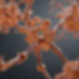 Chemical structure of moisture-reactive compounds
