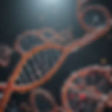 Functional overview of RNA and DNA