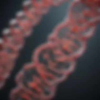 Role of RNA in protein synthesis