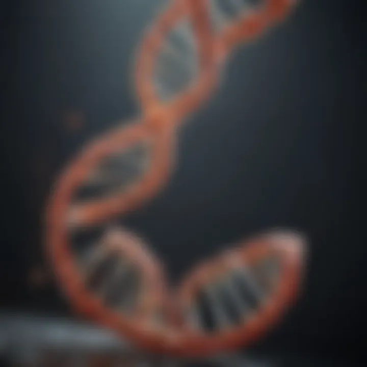 Stability differences between RNA and DNA