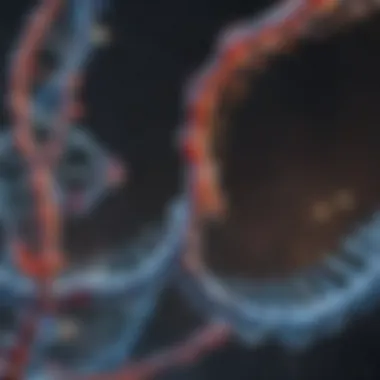 Structural Comparison of RNA and DNA Structural comparison of RNA and DNA