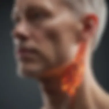 Clinical Implications of Bone Density Findings Clinical implications of bone density findings
