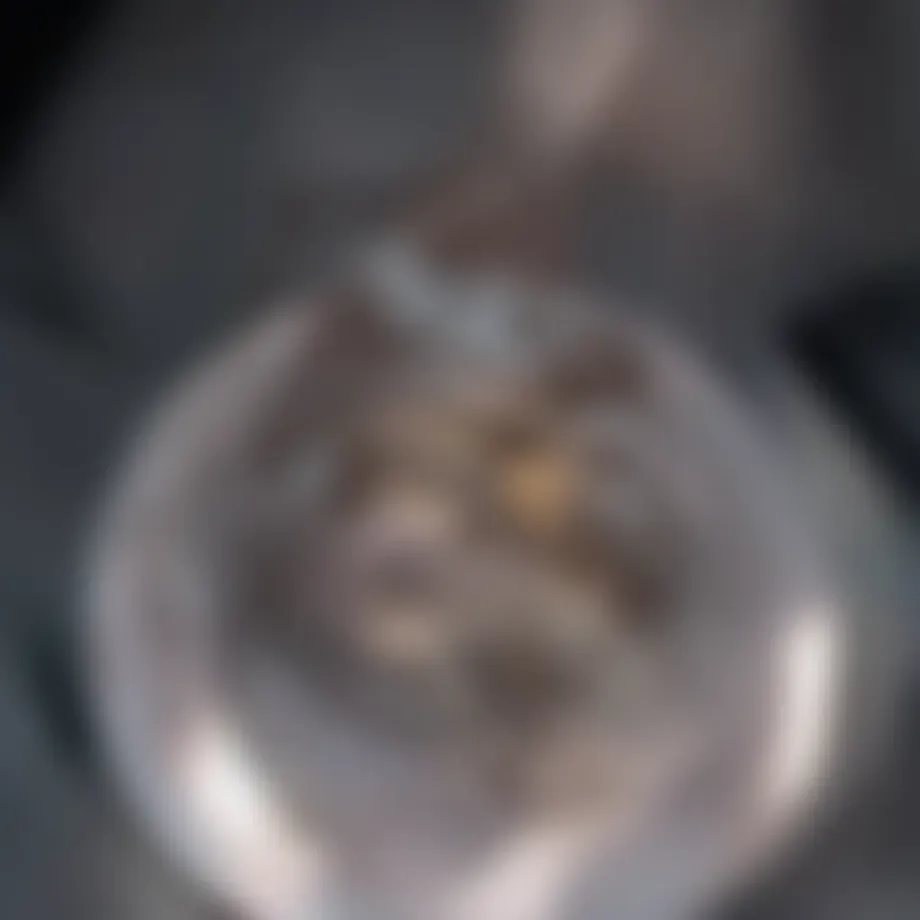 Comprehensive Examination of Anti-CD3/CD28 Stimulation Protocols Introduction