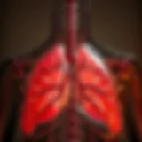 Comprehensive Exploration of Chronic Destructive Pulmonary Disease Introduction
