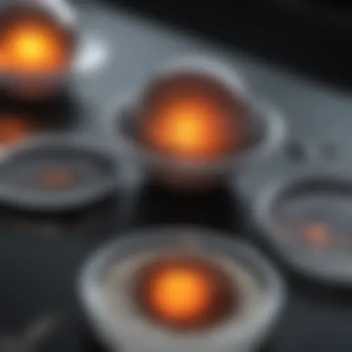 Detailed overview of colony assay techniques