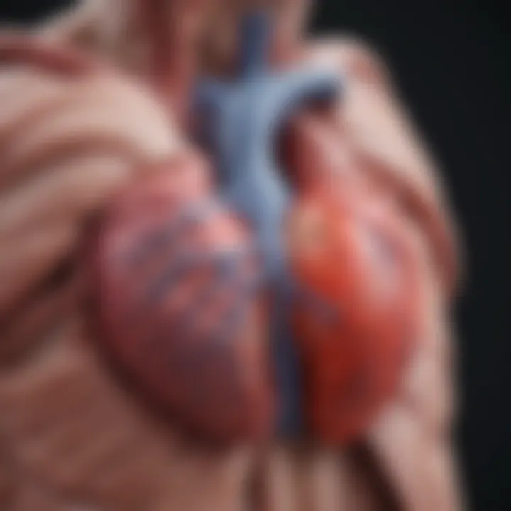 Chart illustrating differential diagnosis of heart infections