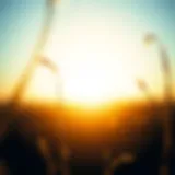 Comprehensive Strategies for Mitigating Climate Change Introduction