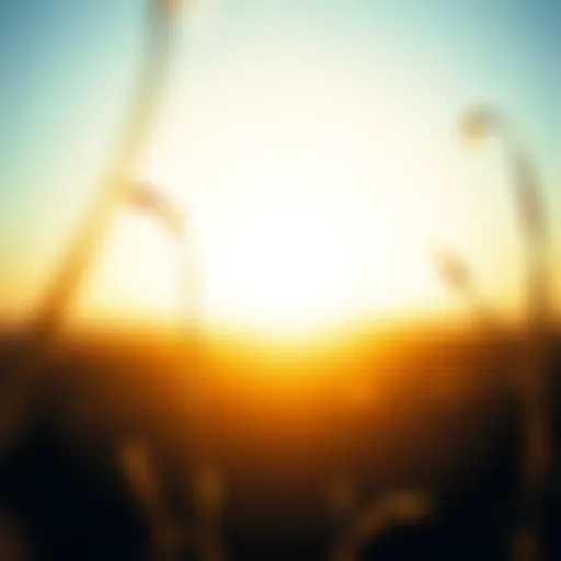 Comprehensive Strategies for Mitigating Climate Change Introduction Comprehensive Strategies for Mitigating Climate Change Introduction