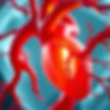 Illustration depicting the coronary artery anatomy